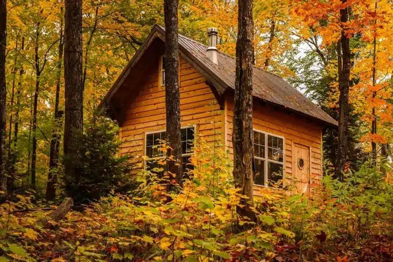 a log cabin in the woods in the autumn