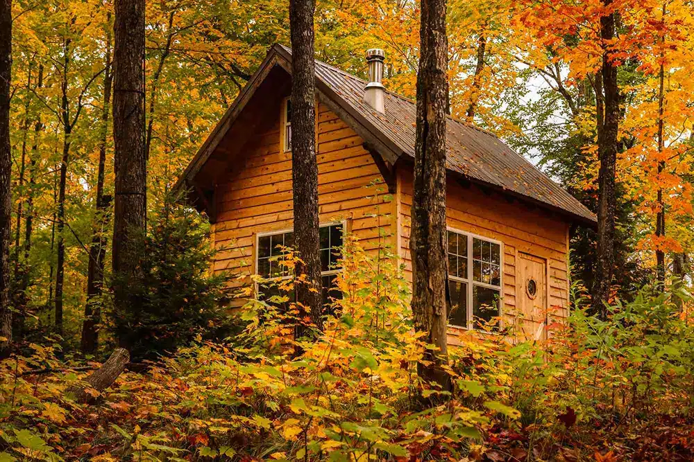 a log cabin in the woods in the autumn