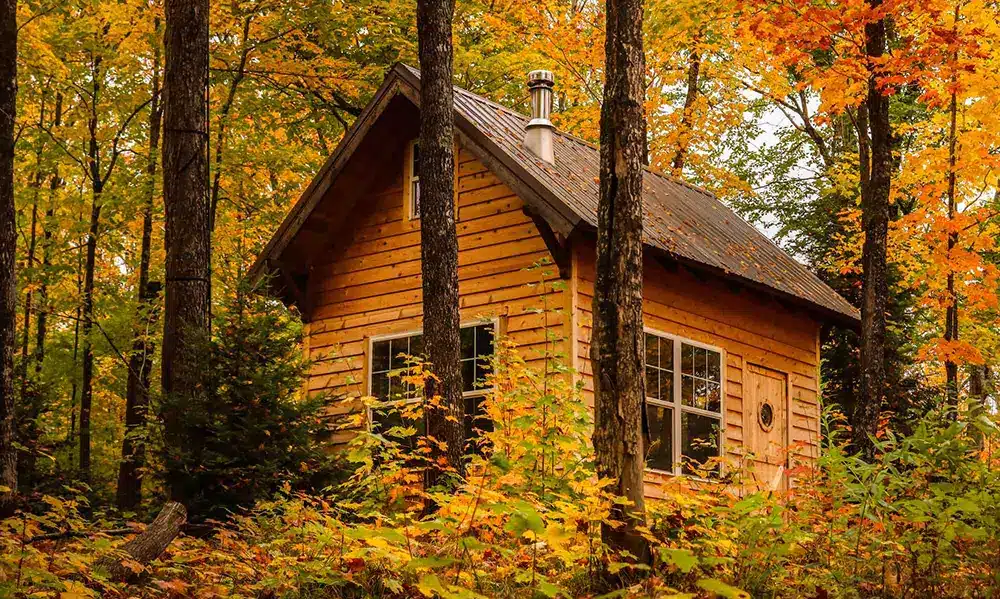 log cabin in the woods in autumn with yellow leaves all around