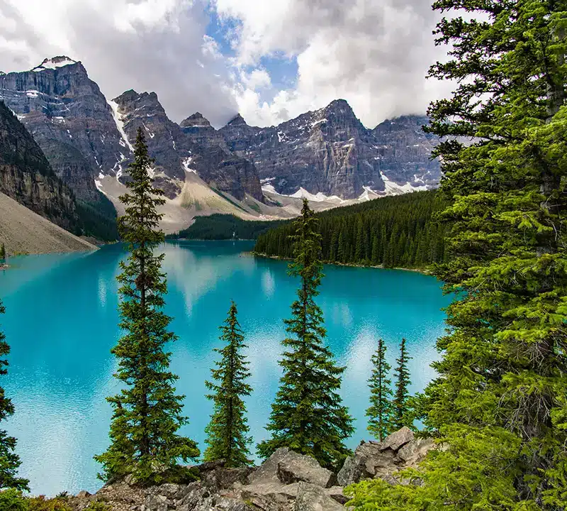 view of a blue lake in the mountains surrounded by pine trees